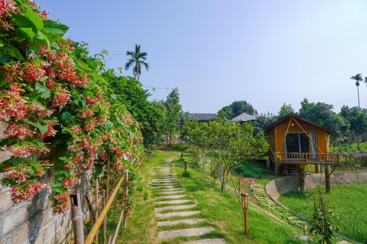 Little Bee House 호텔 Trai Vang 외부 사진